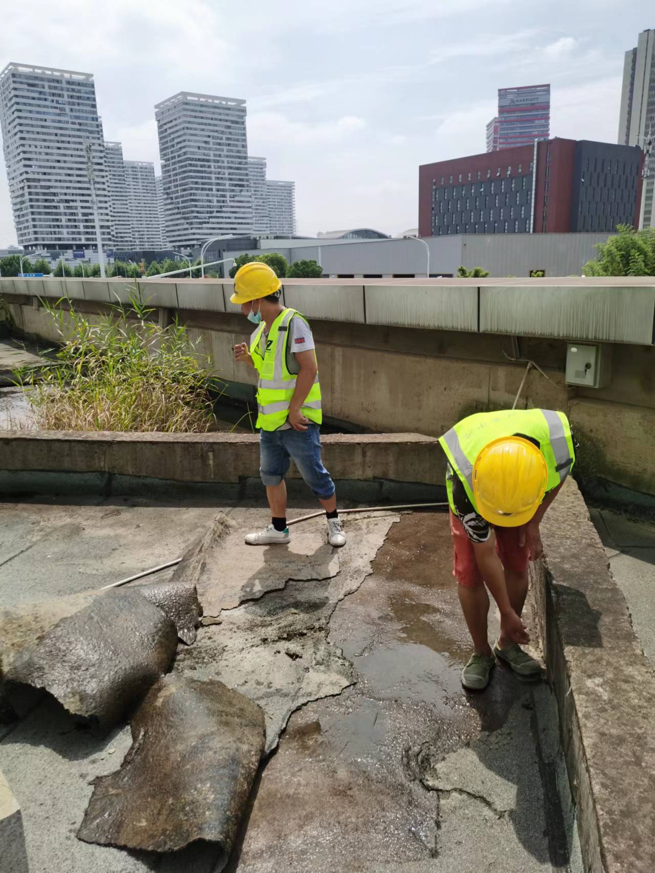 微信圖片_20220629105242.jpg